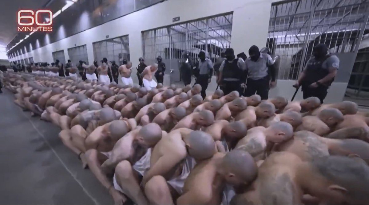 mattklewis's tweet image. I just don’t know how you can defend sending people here — and then politicians taking photo-ops