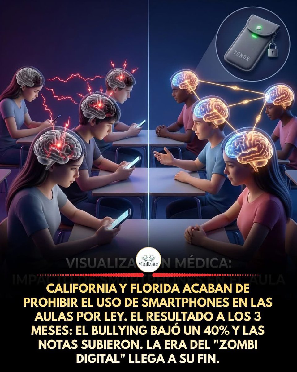 RECUPERANDO LA INFANCIA ROBADA.

En 2026, la marea ha cambiado. Lo que comenzó como un experimento en escuelas privadas de Silicon Valley (donde los ejecutivos de Tech no dejan que sus hijos usen lo que ellos venden), ahora es Ley Estatal. El movimiento "Phone-Free Schools" está