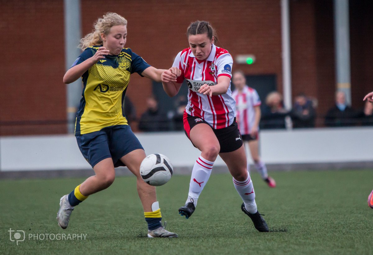 TP Photography tweet media