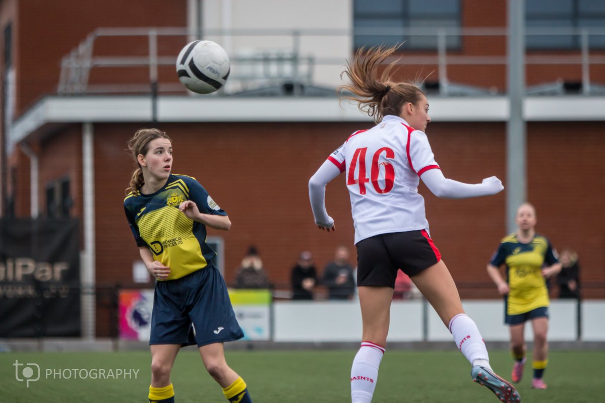 TP Photography tweet media