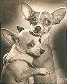 closeChabela's tweet image. zara? zarahí?