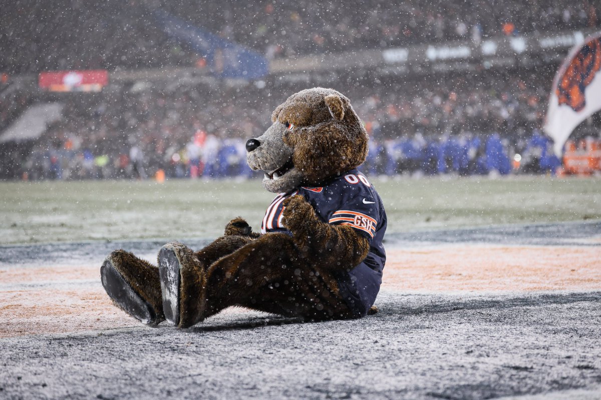 Staley Da Bear 🐻 tweet media