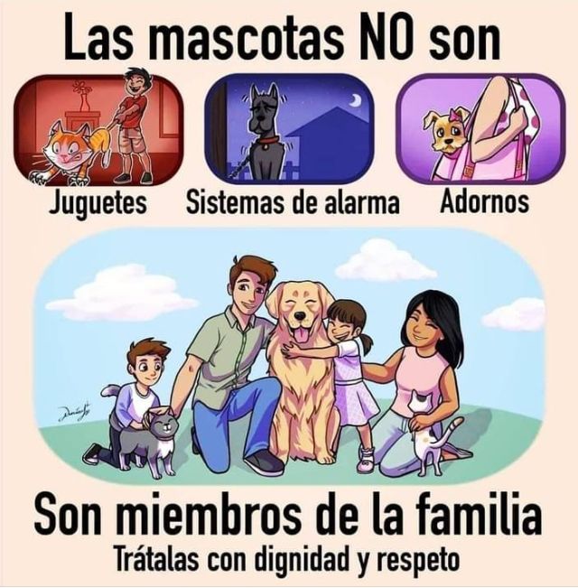 Sobre todo que son seres vivos