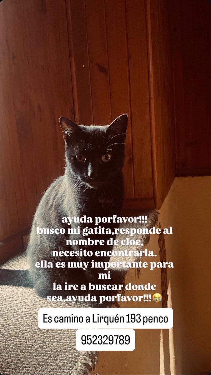 Animales perdidos y encontrados #Incendio #Lirquen #Concepcion #Chile