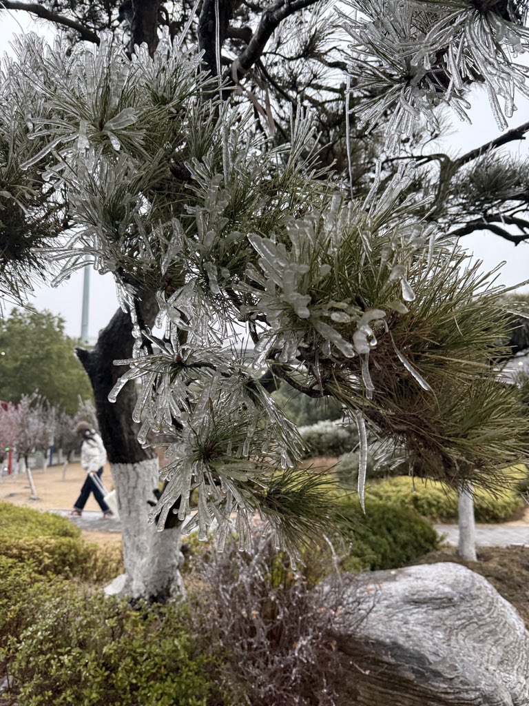 Edward Paxton 🇬🇧🏴🏴 tweet media