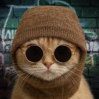 Fwogua's tweet photo. #NewProfilePic https://t.co/vzxeboUitR
