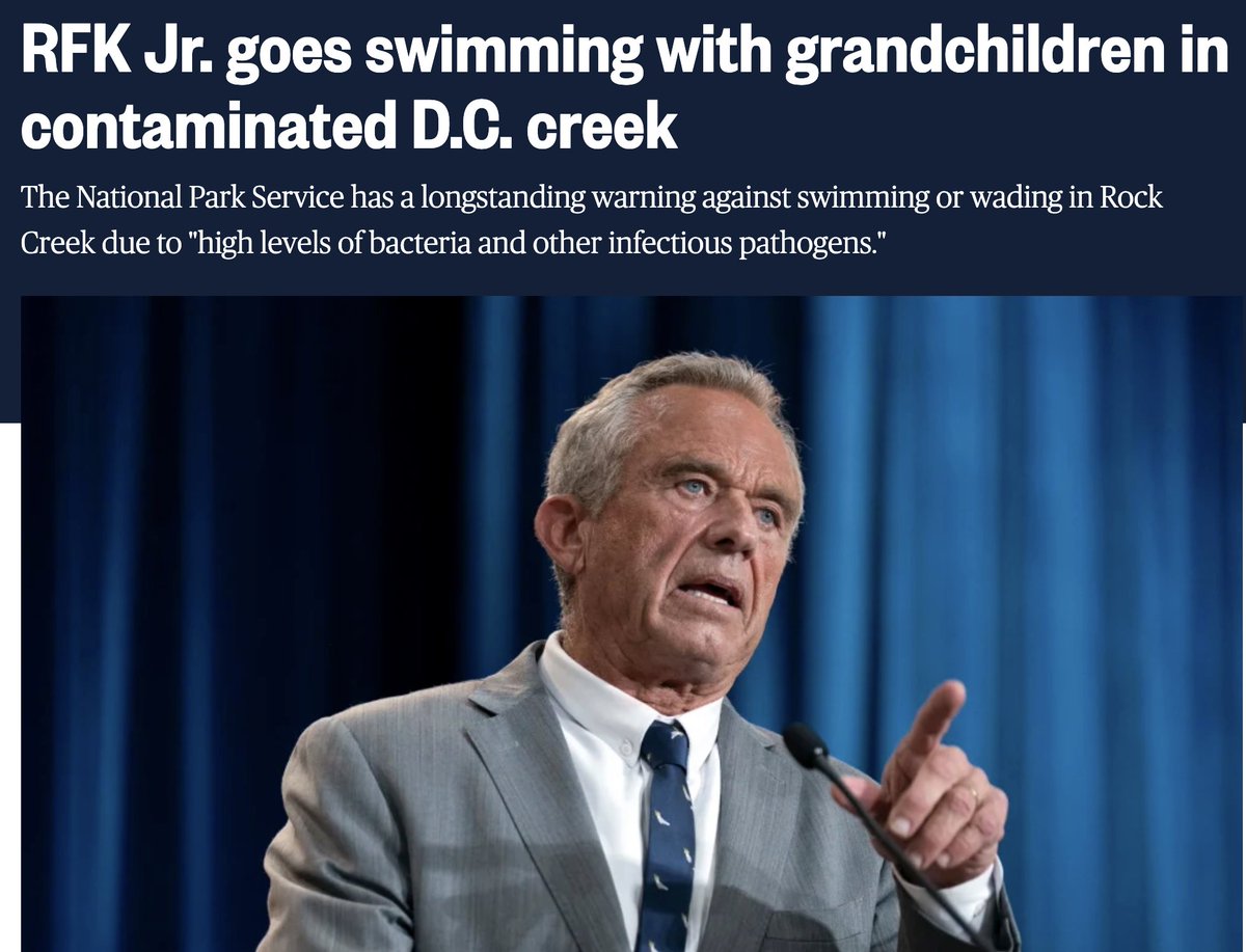 (((Let X=X))) 🌻 tweet media