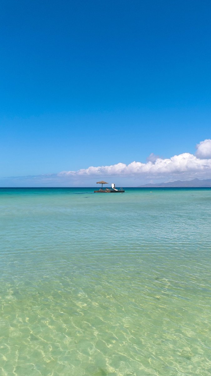 arquimontero's tweet image. C A R I B E

📍Isla de Cubagua, Venezuela