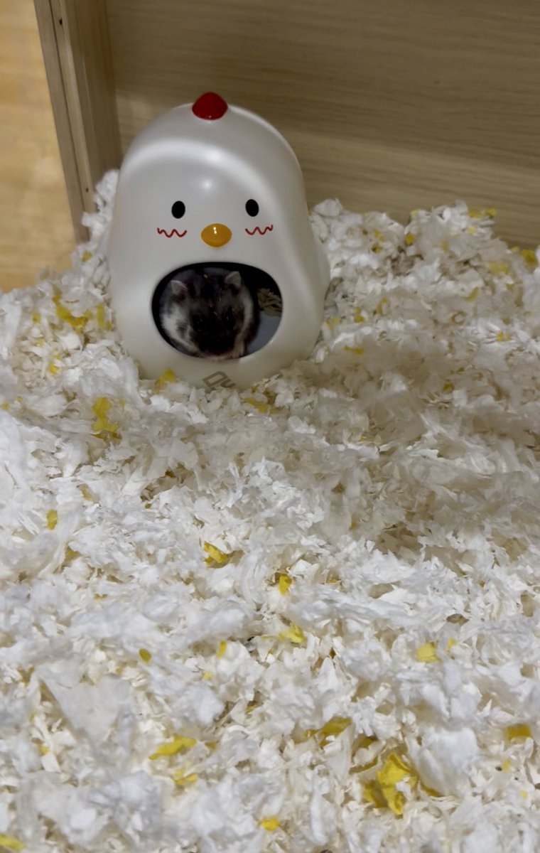 erecyeager's tweet image. we did it!!!