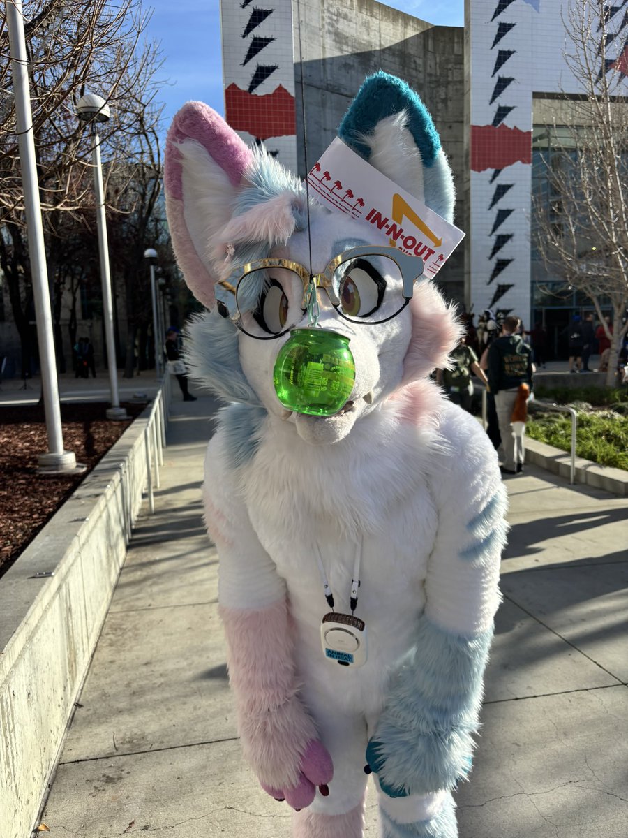 echo 🍭 🔜 tff tweet media