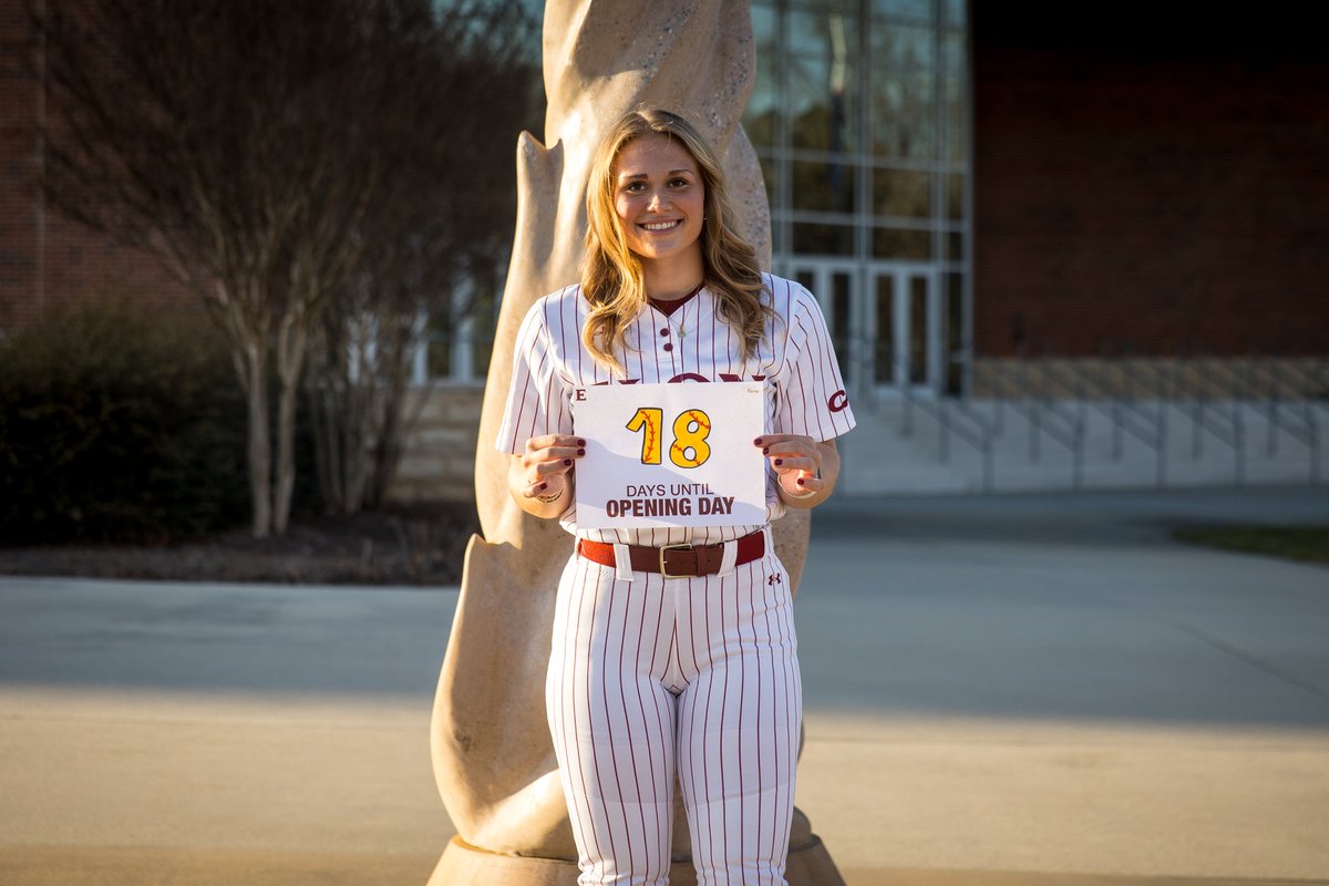 Elon Softball tweet media