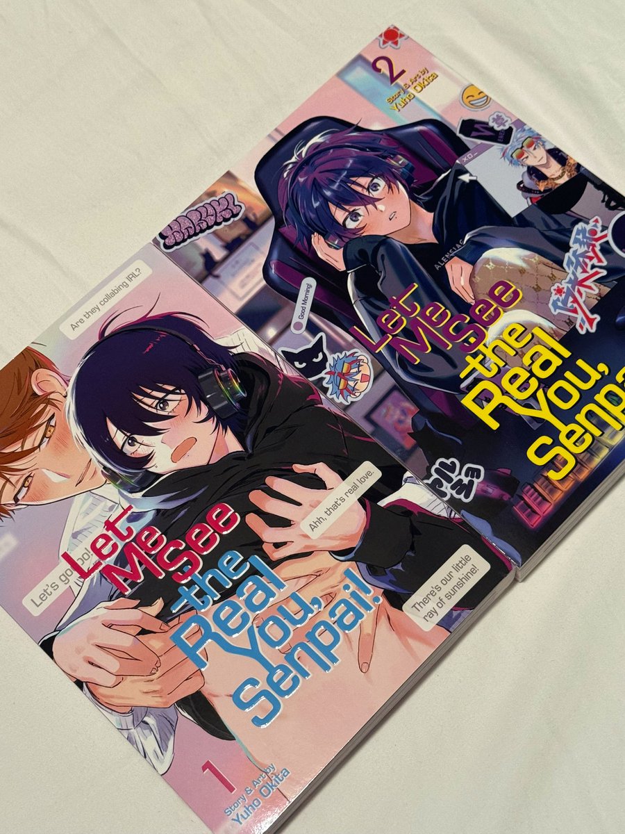 Why did my neighbor buy me VTuber BL?