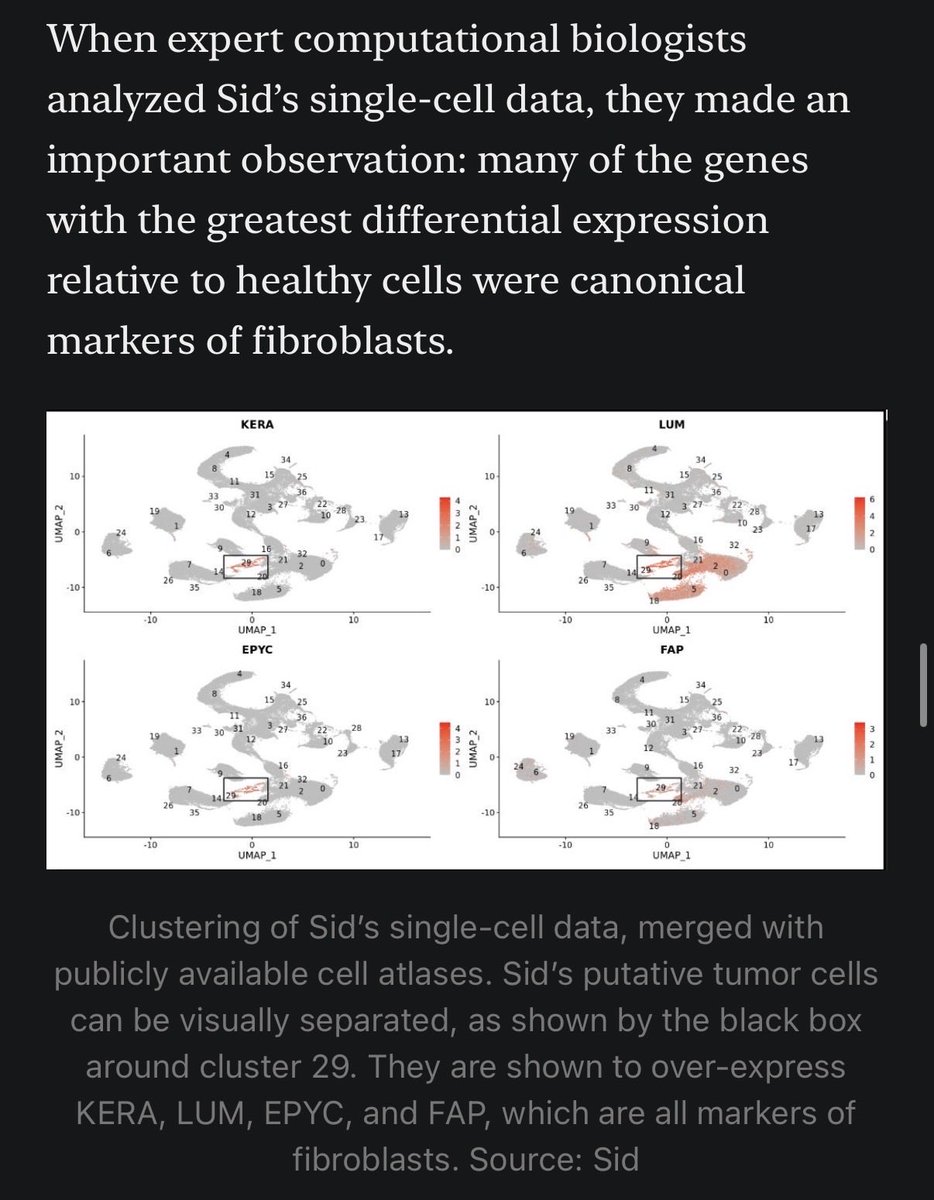 Dr. Jocelynn Pearl tweet media