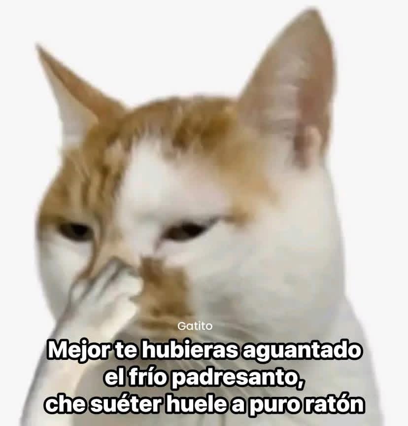 La Multilulucita💫 (@multilulucita) on Twitter photo 