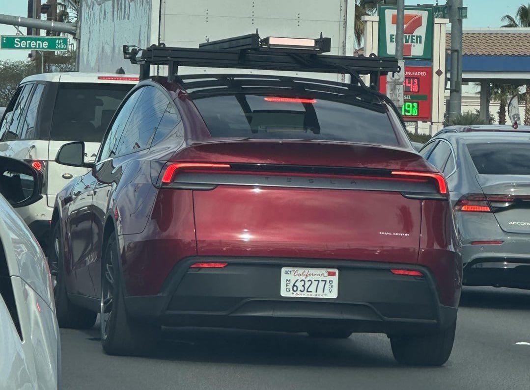 Nic Cruz Patane tweet media