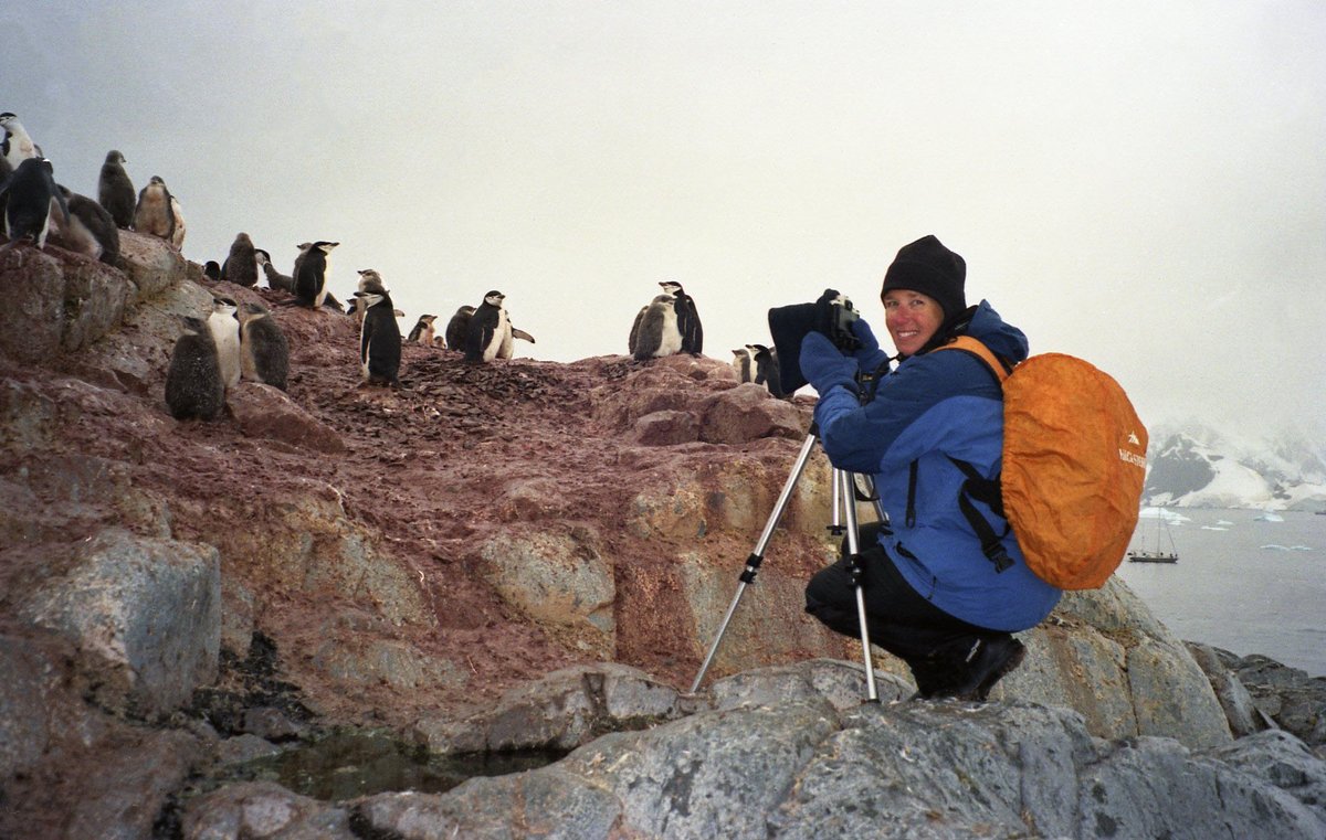 BlastingThrough's tweet image. My wife is Donna Ikenberry. She's a semi-retired freelance photojournalist and professional wildlife photographer. See her website for some amazing travel photos. Click on a trip and scroll down to enjoy. Have a good night, everyone.
donnaikenberryphotography.com/about