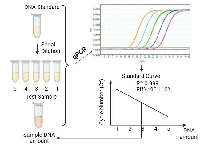 Creative Diagnostics provides researchers with Nucleic Acid Residue Assay Kits that enable manufacturers to detect, quantify, and control residual host cell DNA, viral vector nucleic acids...
 qbd.creative-diagnostics.com/products/host-…

#Bioprocessing #QualityControl #HostCellDNA #Biotech
