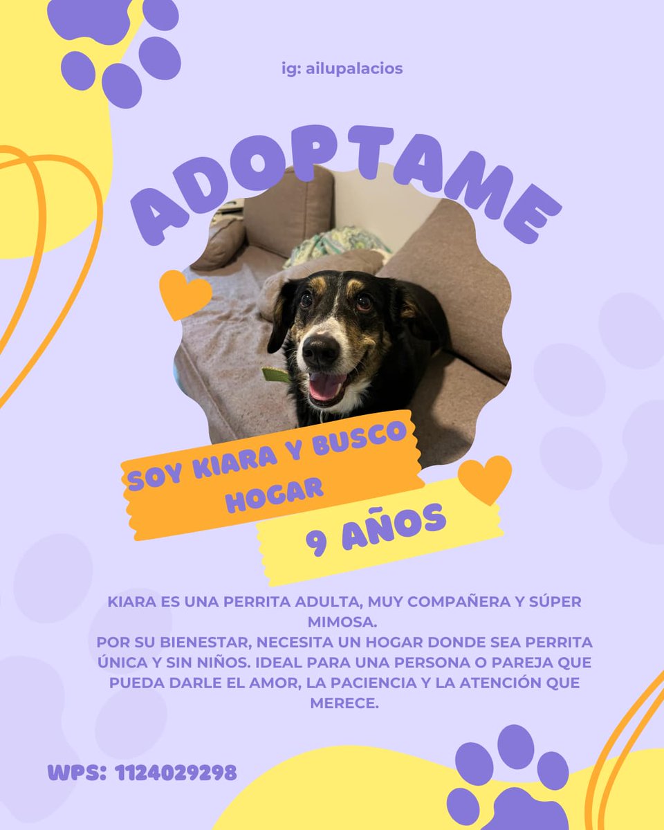 puppyaslouis's tweet image. Bueno, con mucho dolor les pido que compartan está publicación, Kiari necesita un hogar que luego de 9 años juntas yo ya no puedo darle, si conocen o estás buscando una perrita que solo necesita amor y ser única, hablame, soy de GBA pero puedo acercarla a CABA