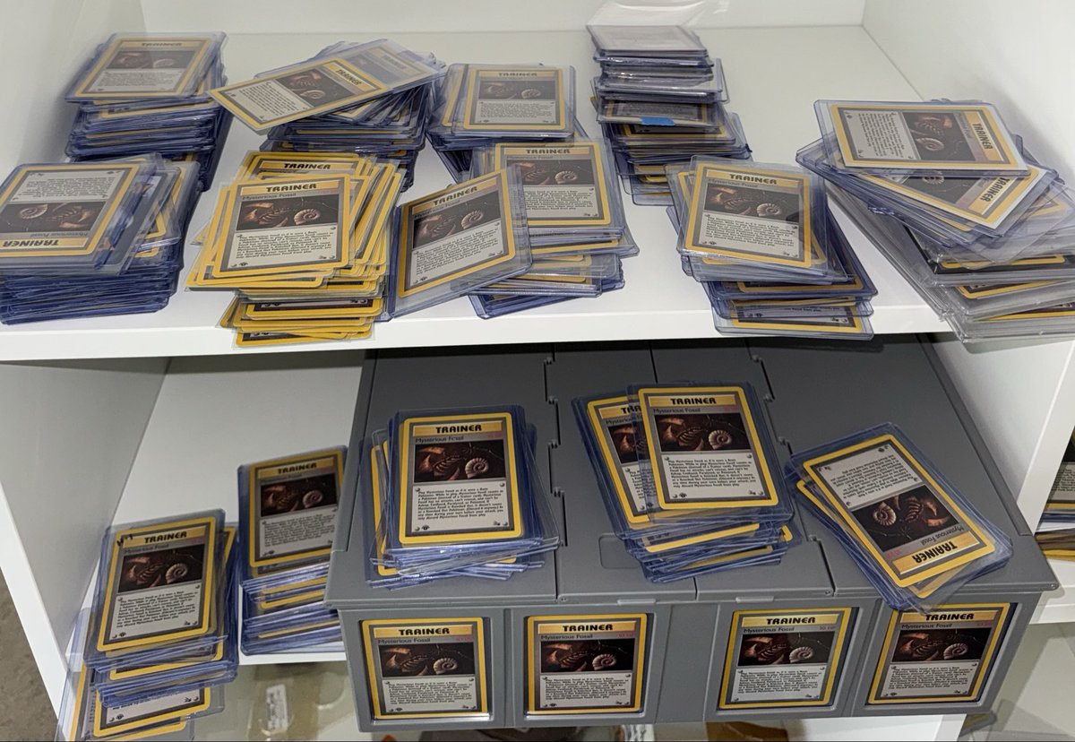 Fossil Foundation tweet media