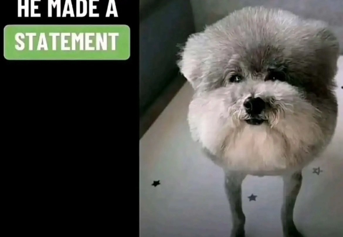 Bongoooo tweet media