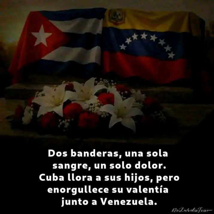 Nancy Labrada E.P tweet media