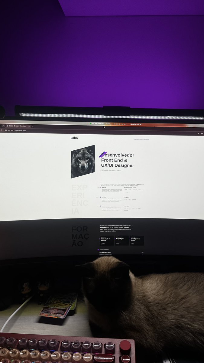 Haru 吉田 春 tweet media