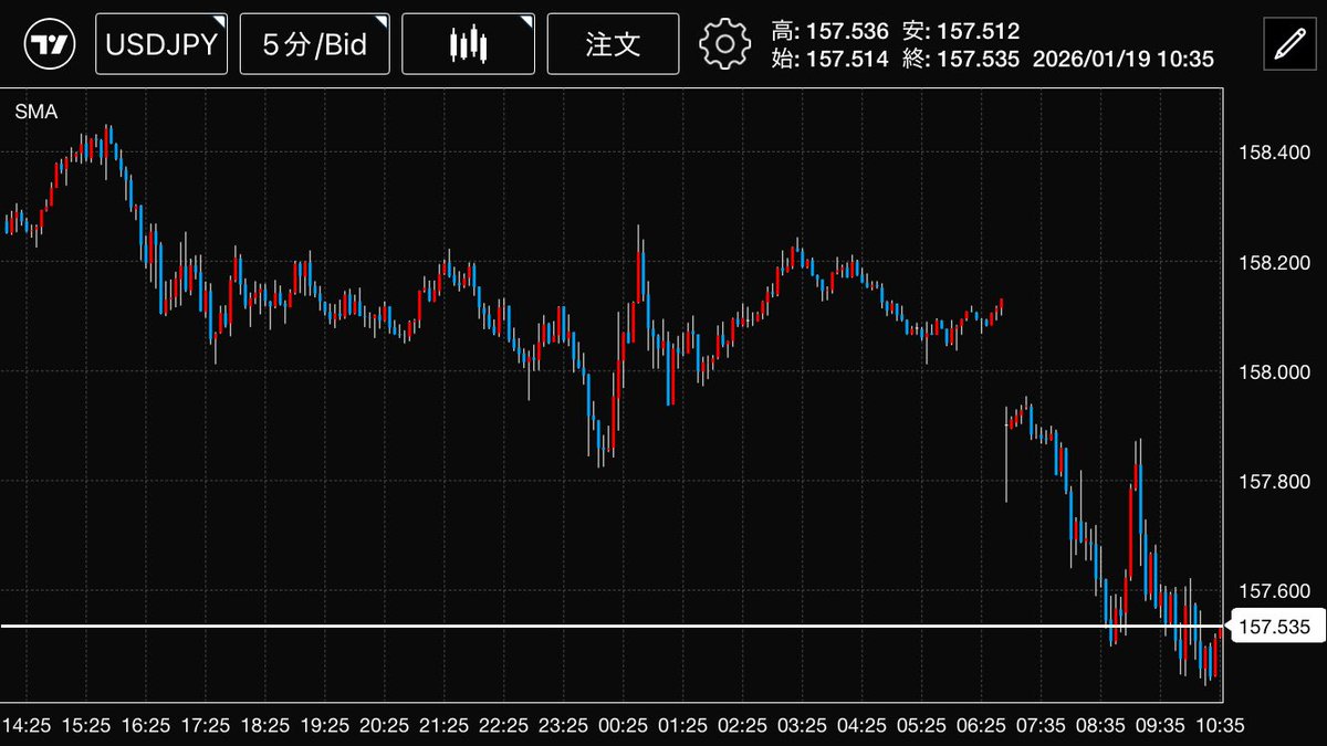 介入あるとしたらドル円160円台を予想してる人が多いが、逆に今日みたいな日に介入したら誰も予想してない分パニックになって効果高いような気がする。