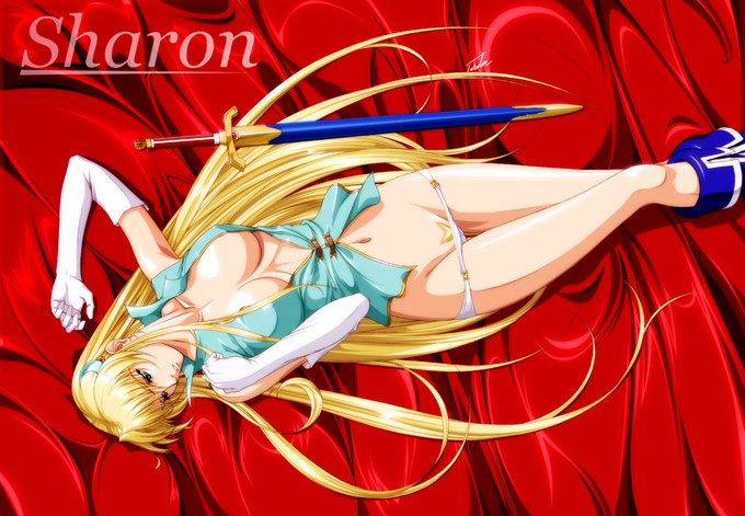 #これを見た人は何か赤いものをあげる見た人強制 背景の赤は鎧のマントの赤い裏生地をイメージして決めた記憶。りんしん氏のゲームのボツになったシャロンの某絵を参考にしてる そういえば大分長い間アニメ塗りのシャロンを描いてないかも?5年ぐらい?