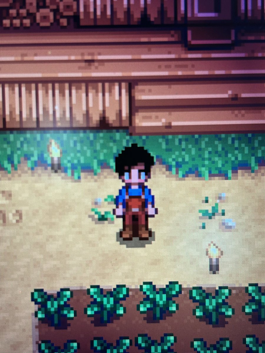 shane hollander in stardew valley
