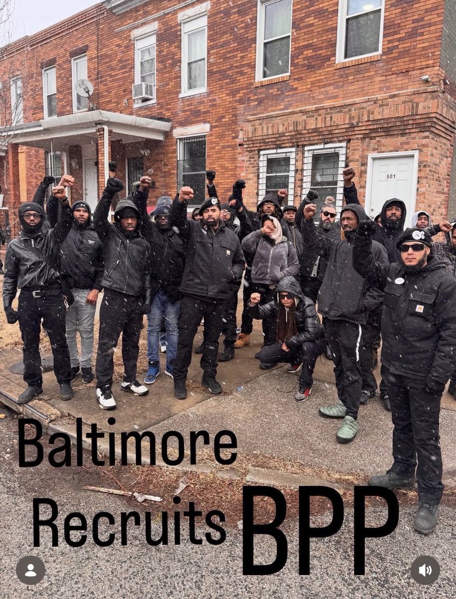 PaliNewsNetwork's tweet image. New Baltimore recruits for the Black Panther Party for Self Defense 🐆
