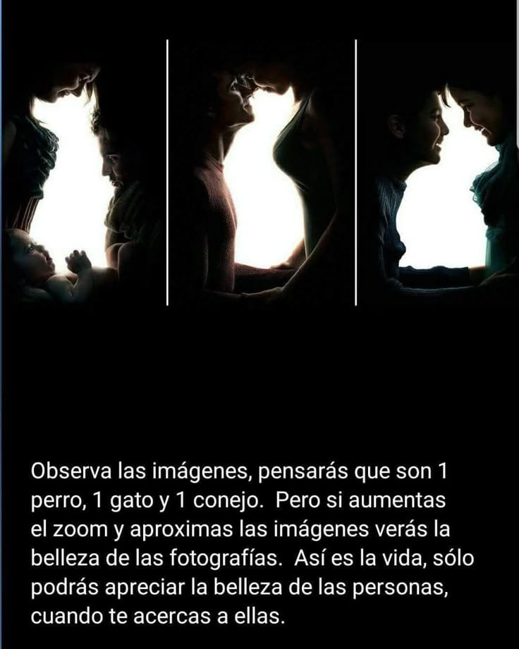 EnsedeCiencia's tweet image. Asombroso 😍