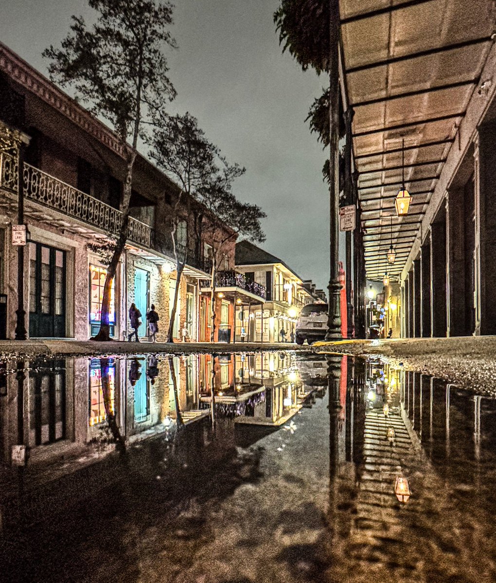 Watering the ferns leaves a reflective puddle on Chartres Street, New Orleans