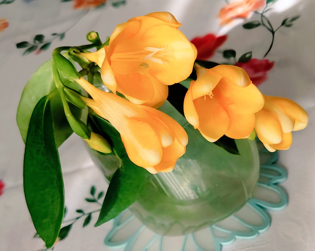 まめちゃん (@kyonkyon245) / Posts / X