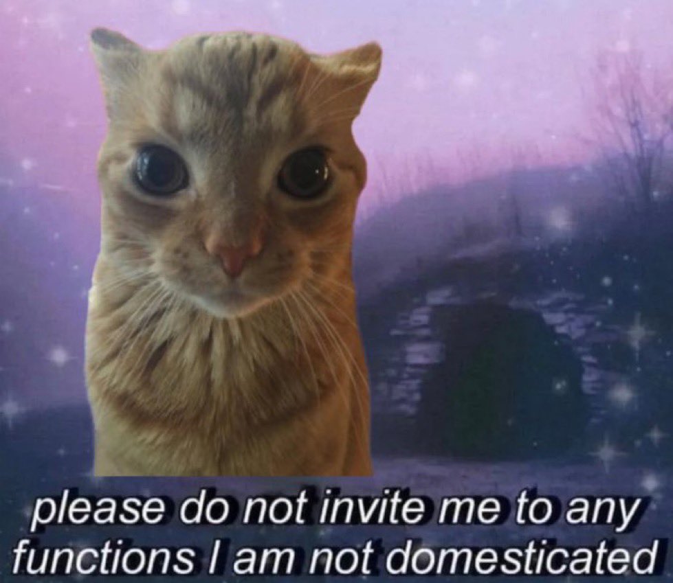 GaK (@gakstercat) on Twitter photo 