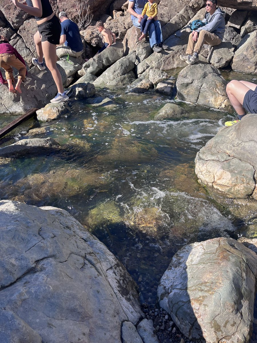 Sunshine tweet media