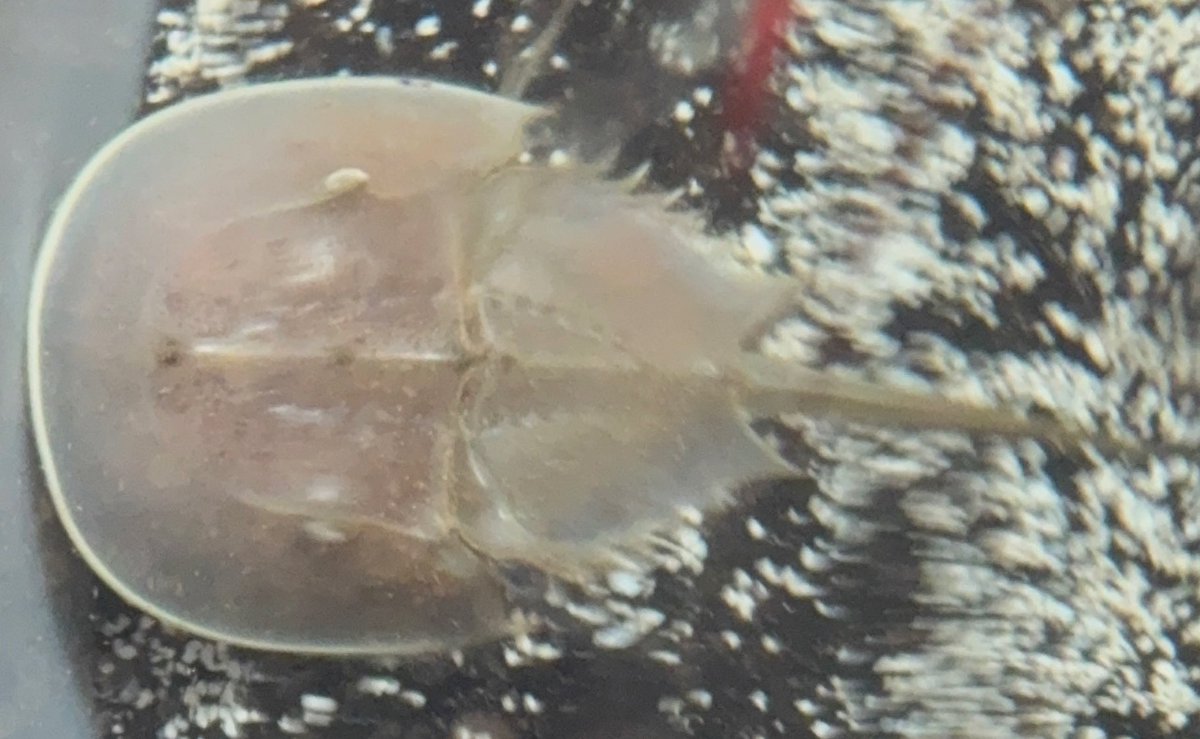 Yami 🗿 tweet media