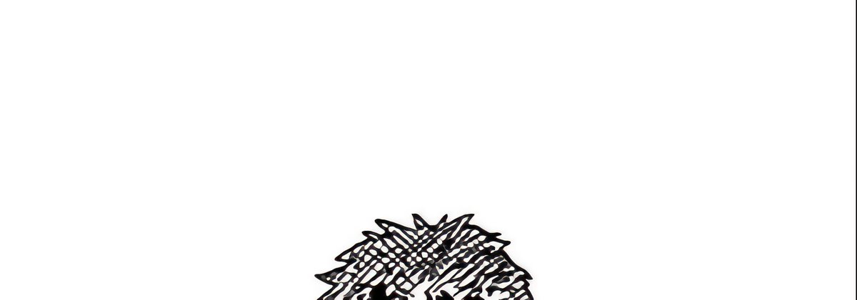 eukniv's tweet image. Zoro ᶜᵒˡᵈ