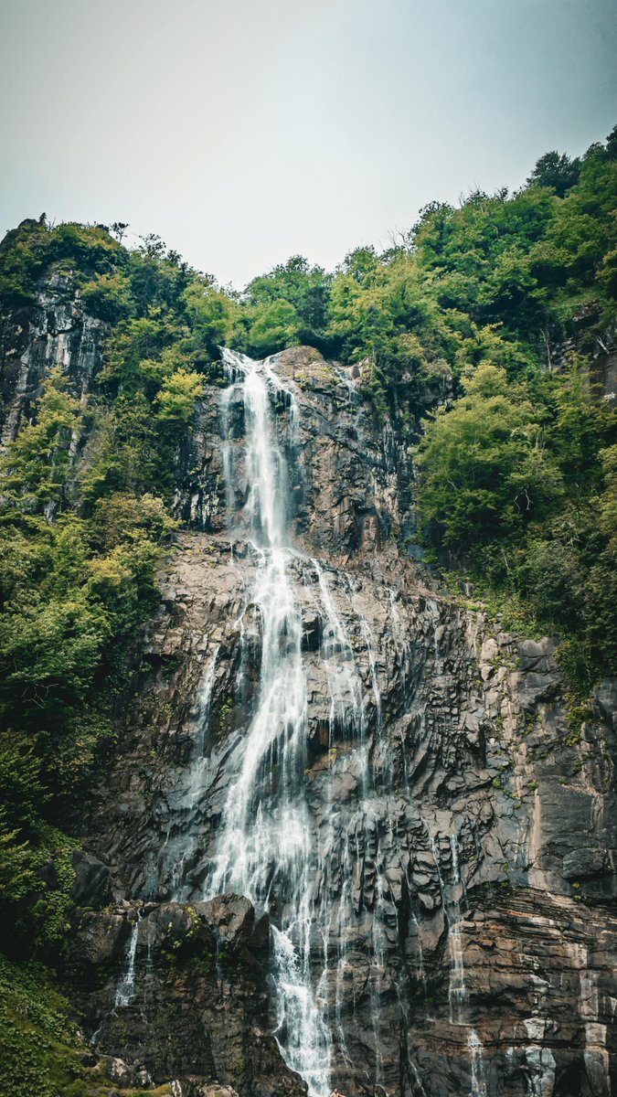 0ff_check's tweet image. 