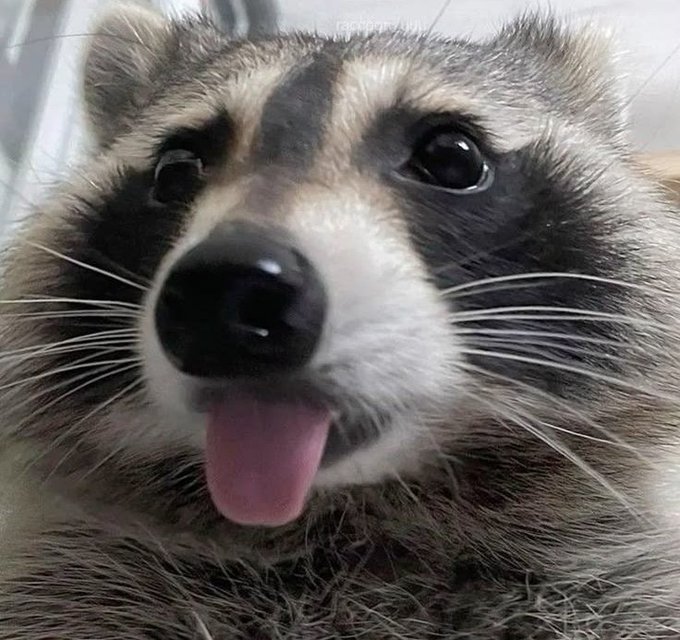 Final stream before I leave for a week! More Rivals tonight with a friend and fighting in the ranks!

twitch.tv/ange666dj