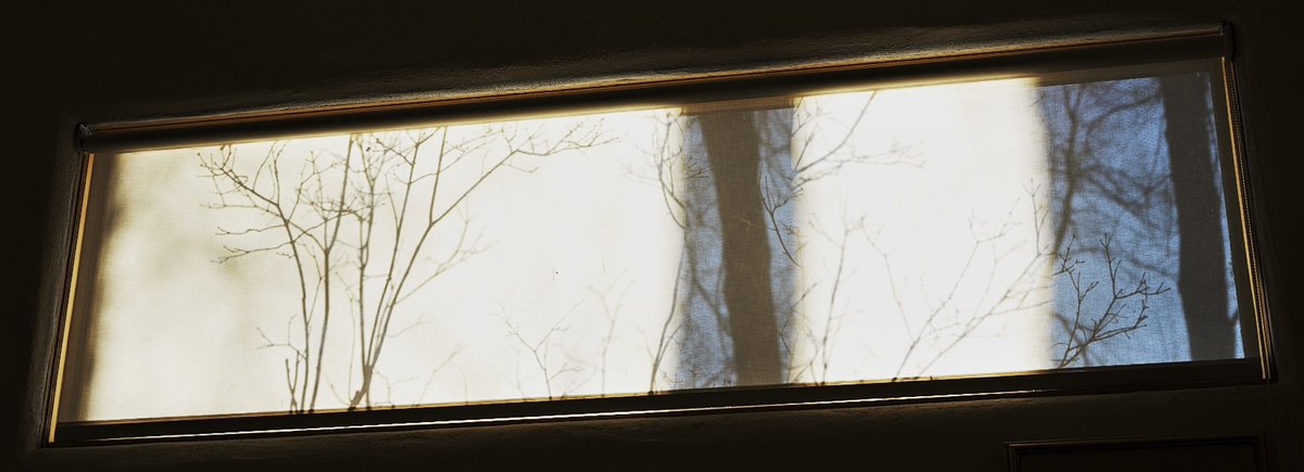 FMoore67's tweet image. Light and shadow.