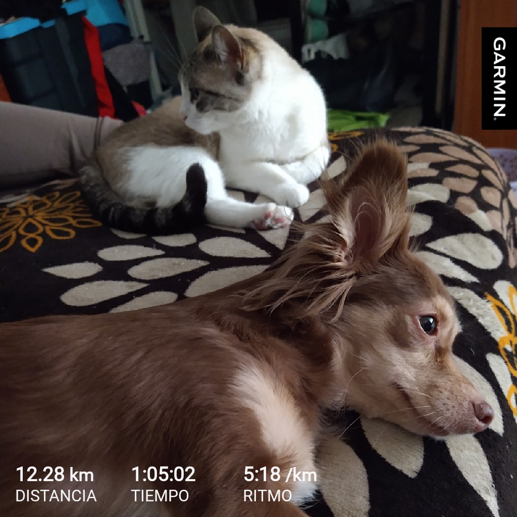 Se fue mi Kiss y enseguida se fue Gaga...
Duele vivir sin ellas.