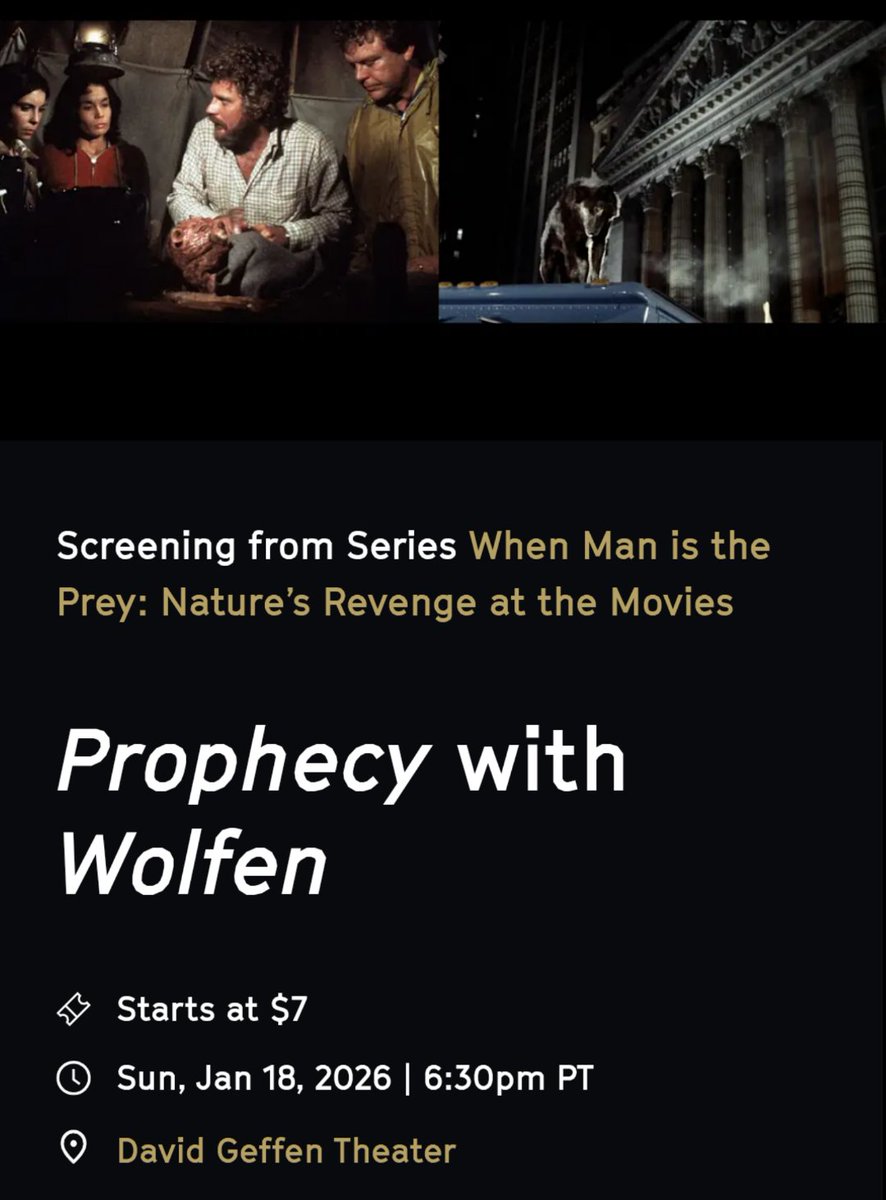 Matthew Chernov tweet media