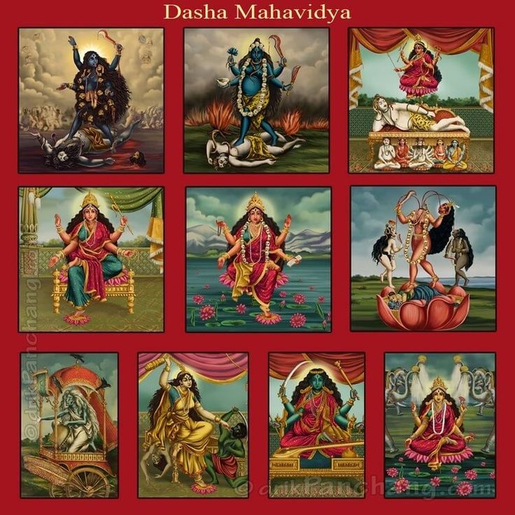🪷 Yogmaya Astrology ✨ tweet media