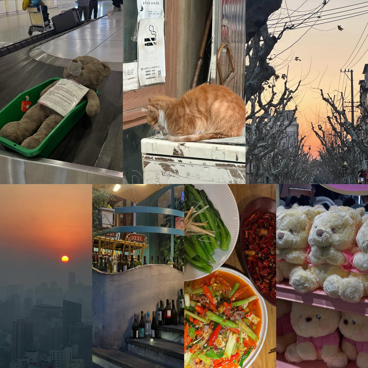 xiaotuing's tweet image. 𝓙anuary 𝓓ump, 
☀🐈🧸