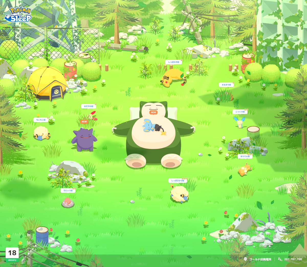 1/19🗓️439日目】 すやすや💤 新寝顔+2(662種類) ここは天国？ 可愛い