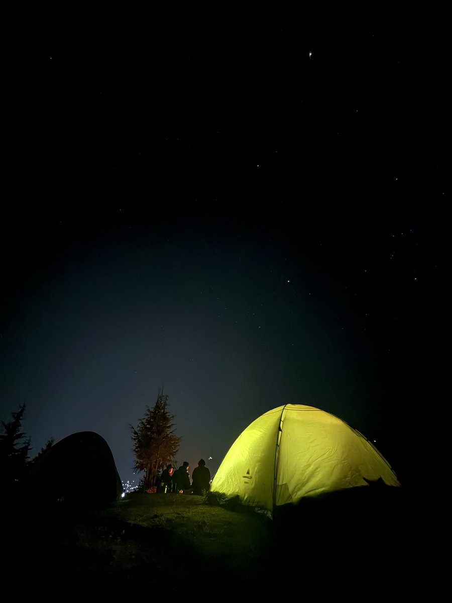 TheGoldScalpLive tweet media