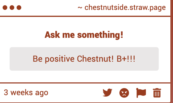Chestnut tweet media