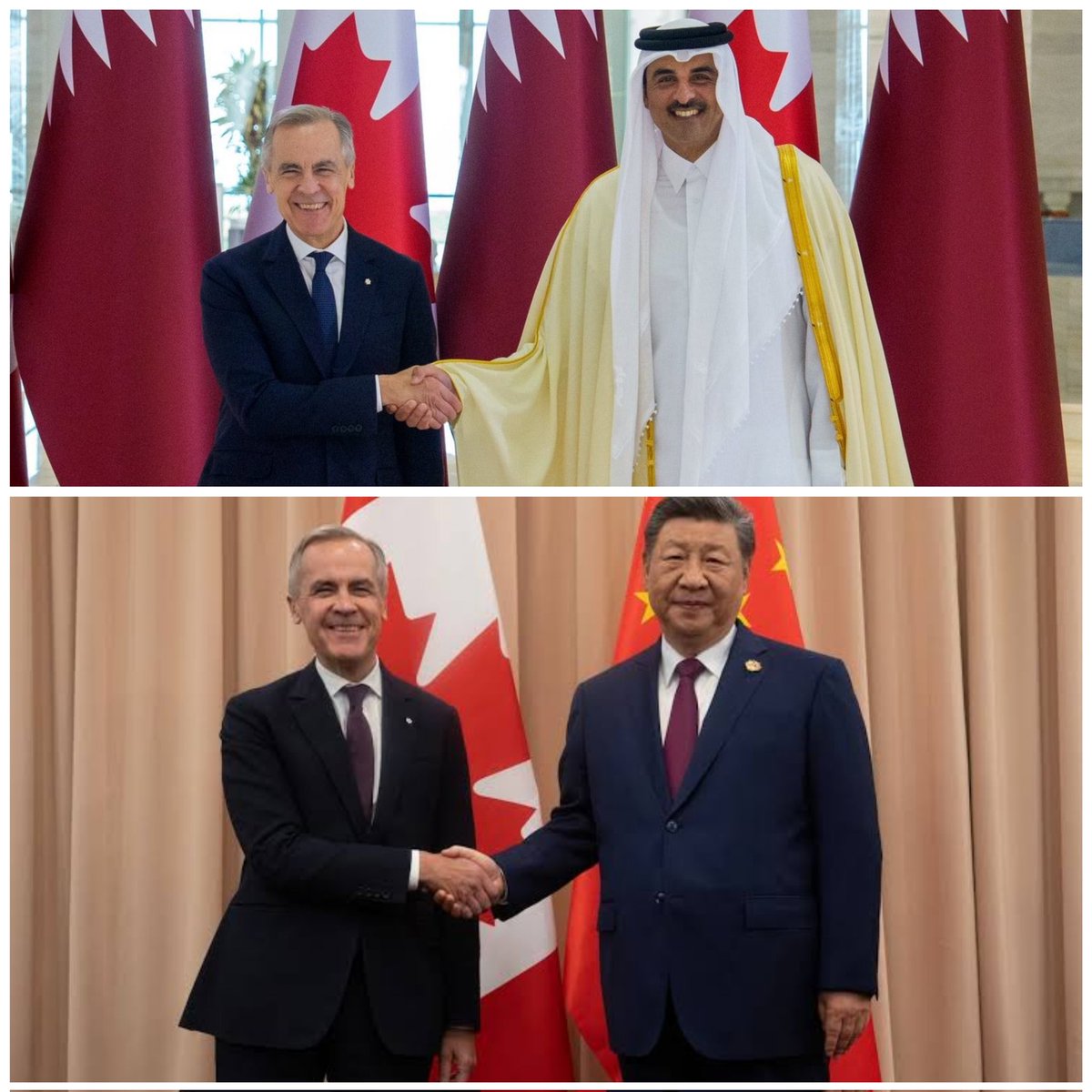 The Pleb 🌍 Reporter tweet media