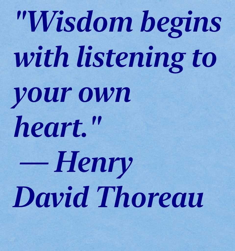 safetycas's tweet photo. Train your wisdom by paying attention on stillness you might discover something important, this is also called intuition. Nice week! https://t.co/A3jPxynpDJ