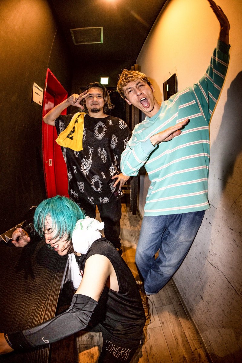 egg brain CDセット egg brain CDセット impress taylormade